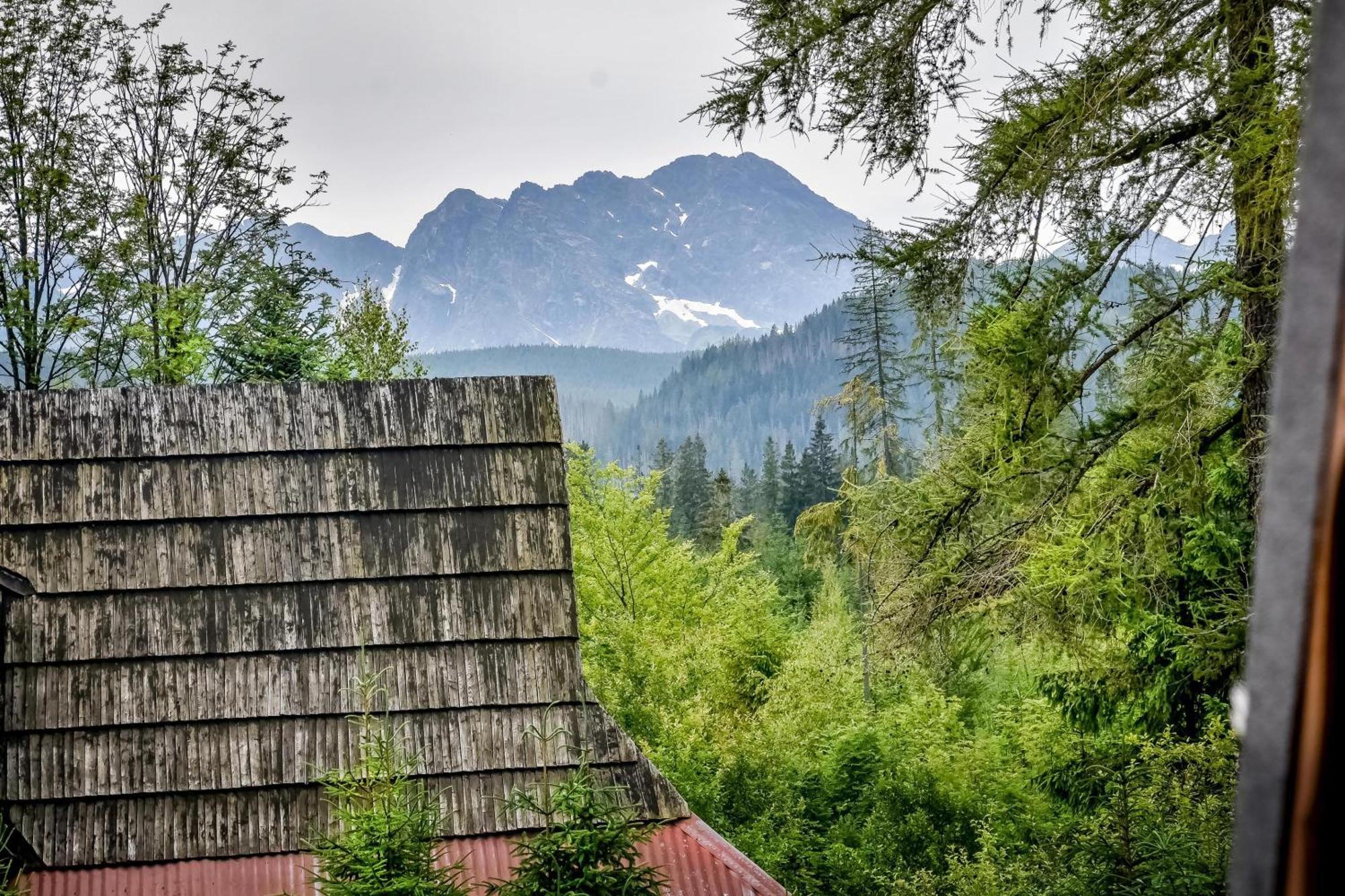 Za Gorami Za Lasami Zakopane Exterior photo